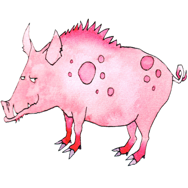 Chinois Astrologie Zodiaque Animaux | Signe animal du zodiaque Le cochon
